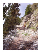 100_1970.jpg