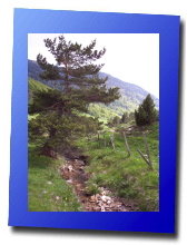 100_1845.jpg
