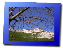 100_1885.jpg