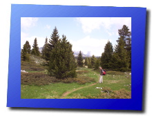 100_1901.jpg